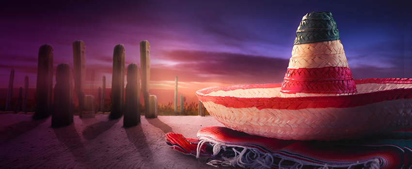 cursos de ingles en mexico